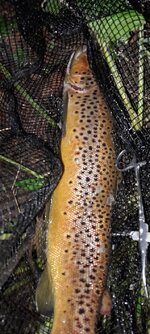 20261006_190345.jpg 20261006_190345.jpg