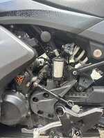 IMG_2503.jpeg