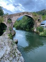 IMG_9800.JPEG