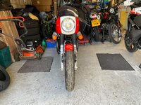 IMG_3320.jpeg