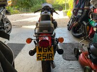IMG_3319.jpeg
