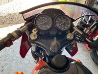 IMG_3318.jpeg