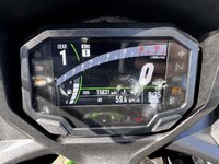 IMG_2074.jpeg IMG_2074.jpeg