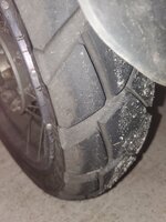 rear tyre.jpg rear tyre.jpg
