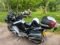 IMG_3494.jpeg