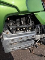 IMG_7752.jpeg