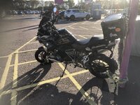 IMG_7429.jpeg IMG_7429.jpeg