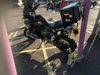 IMG_7430.jpeg IMG_7430.jpeg