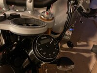 IMG_9520.jpeg