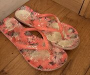 IMG_1667.jpeg IMG_1667.jpeg