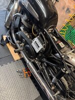 IMG_4098.jpeg