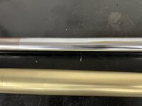 IMG_0903.jpeg