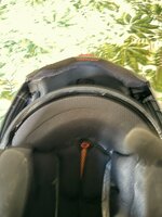 IMG_3419.jpeg IMG_3419.jpeg