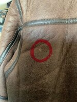 IMG_7084.jpeg