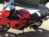 IMG_2936.jpeg