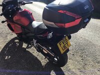 IMG_2939.jpeg