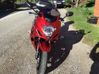 IMG_2935.jpeg