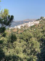 IMG_6868.jpeg IMG_6868.jpeg