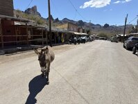IMG_6990.jpeg