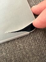 IMG_0135.jpeg