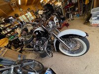 IMG_4699.jpeg