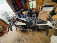 IMG_4698.jpeg