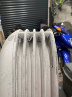 IMG_8514.jpeg