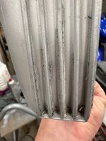 IMG_8513.jpeg