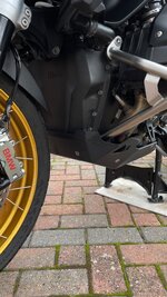 IMG_1908.jpeg
