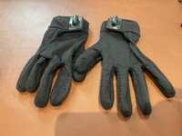 IMG_6617.jpeg