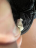 IMG_6620.jpeg