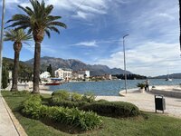 IMG_8532.jpeg IMG_8532.jpeg