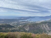 IMG_8542.jpeg IMG_8542.jpeg