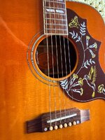 IMG_0259.jpeg