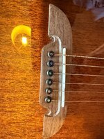 IMG_0719.jpeg