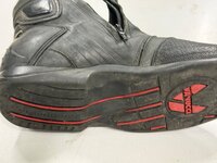 IMG_4406.jpeg