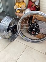 IMG_0390.jpeg IMG_0390.jpeg
