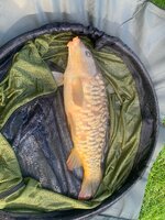 IMG_4514.jpeg IMG_4514.jpeg