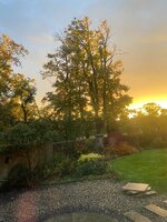 IMG_2601.JPEG