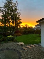 IMG_2610.JPEG