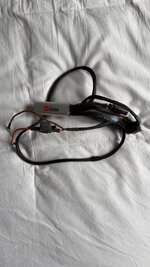 IMG_0504.jpeg