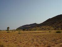 DSC03349.jpg