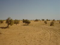 DSC03434.jpg