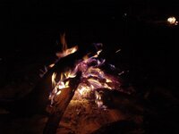 DSC03444.jpg