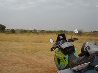 DSC03553.jpg