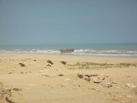 DSCN0204.jpg