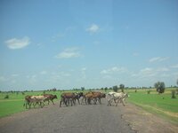 DSCN0273.jpg