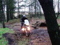 DSCF0963.jpg
