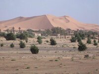 Desert and village.jpg