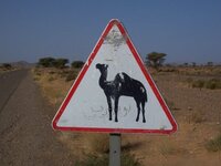 camelsign.JPG